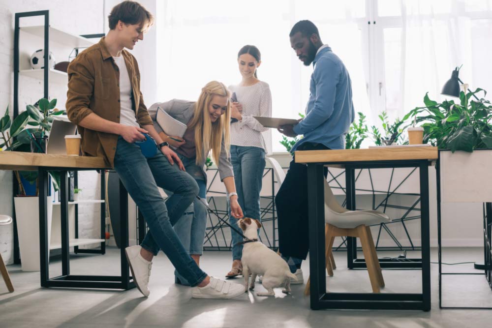 Happy employees with dog at pet-friendly office
