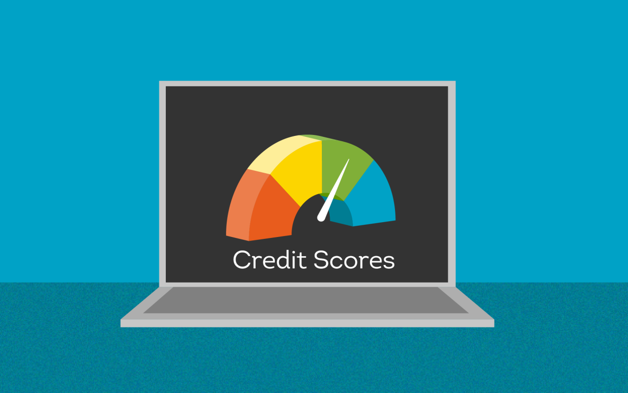 credit and financial reports