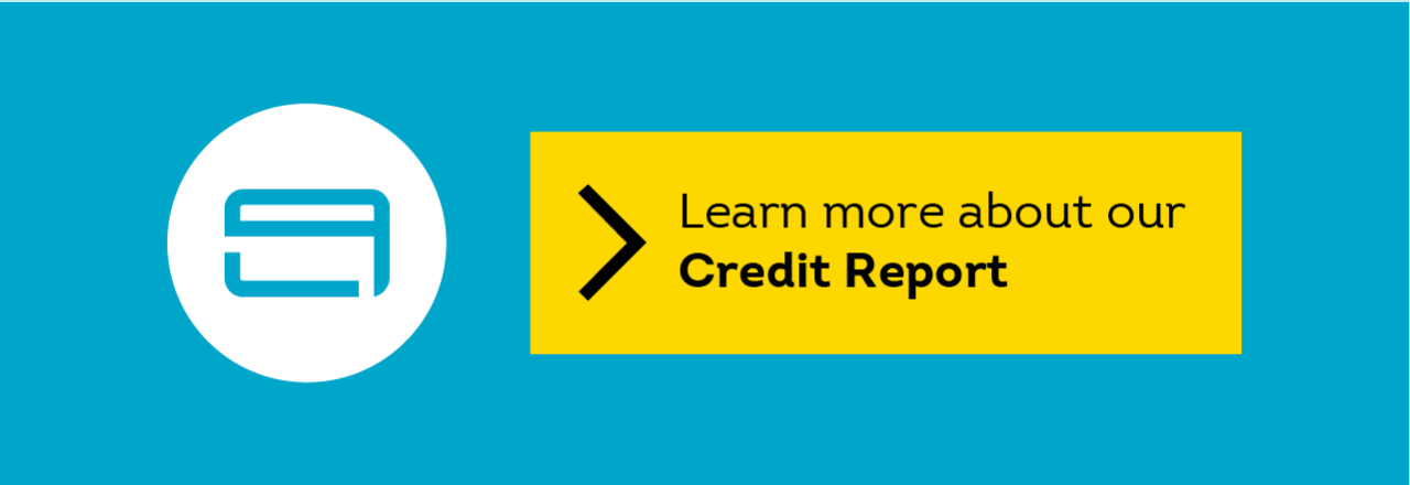 Learn more about a our credit report