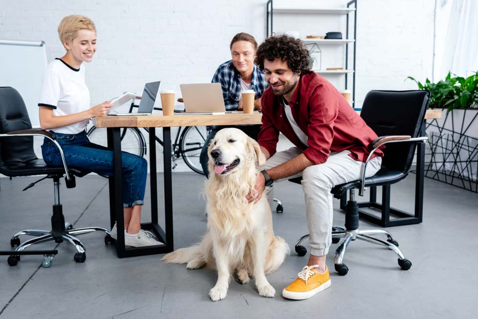 happy employees in dog-friendly office