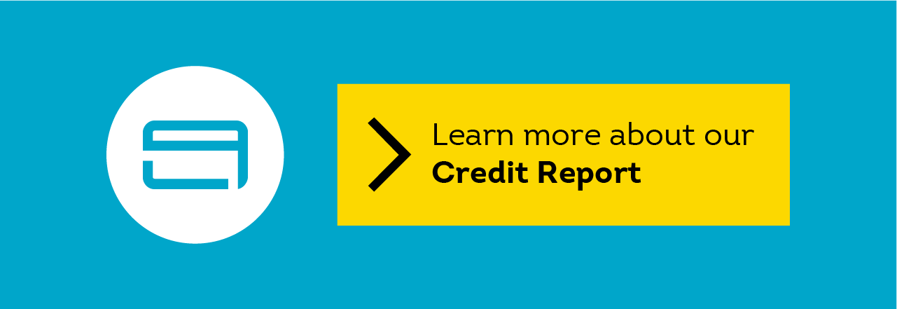 learn more about credit reports