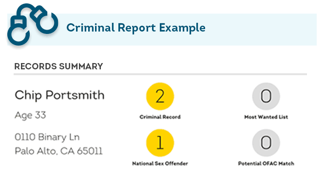 Criminal Report Example